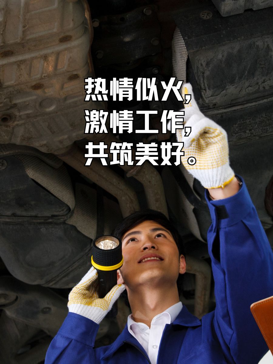 关于共同的梦想：车手与团队的拼搏瞬间的信息